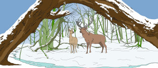 desenho de natureza selvagem e renas