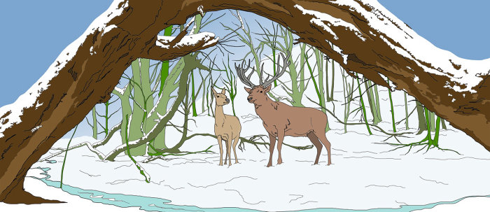 dessin de la nature sauvage et rennes