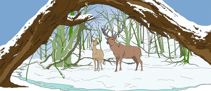 wild nature drawing and reindeers