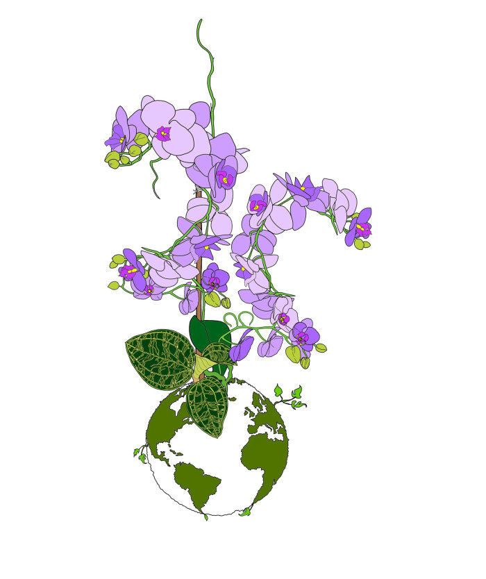 Fleurs violettes de beauté