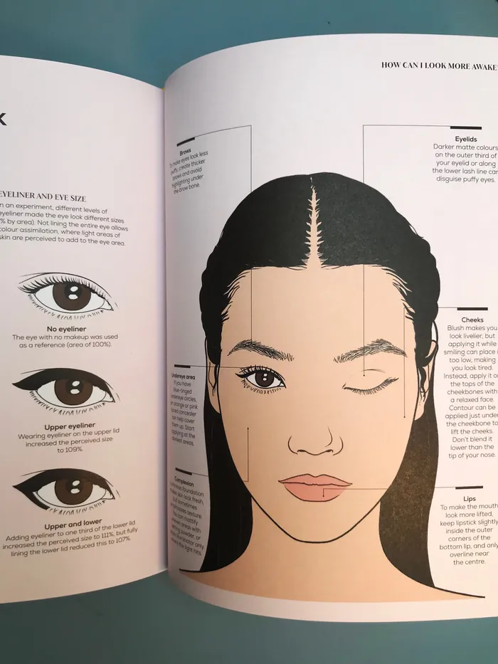 Illustration showing makeup guide on female face and eye details
