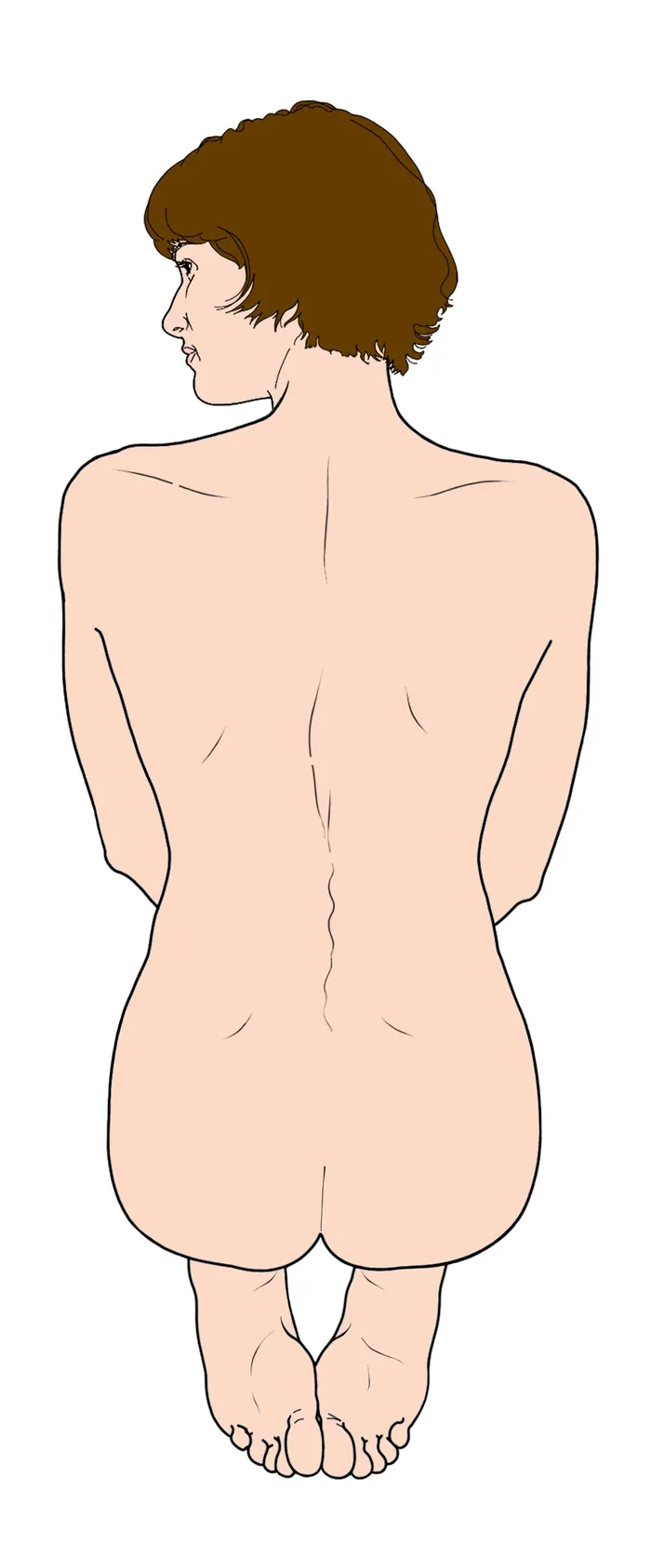 Naked woman sitting on knees viewed from behind illustration