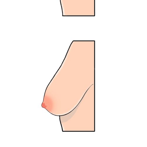 An illustration of woman breast
