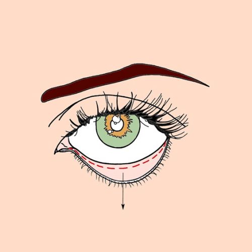 Closed eye illustration by Montana Forbes