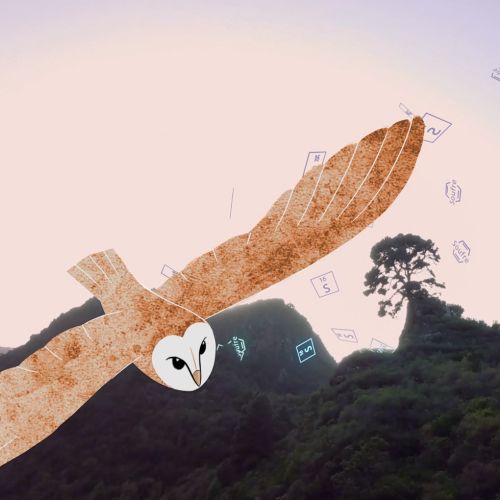 Laboratoire Garancia - Owl