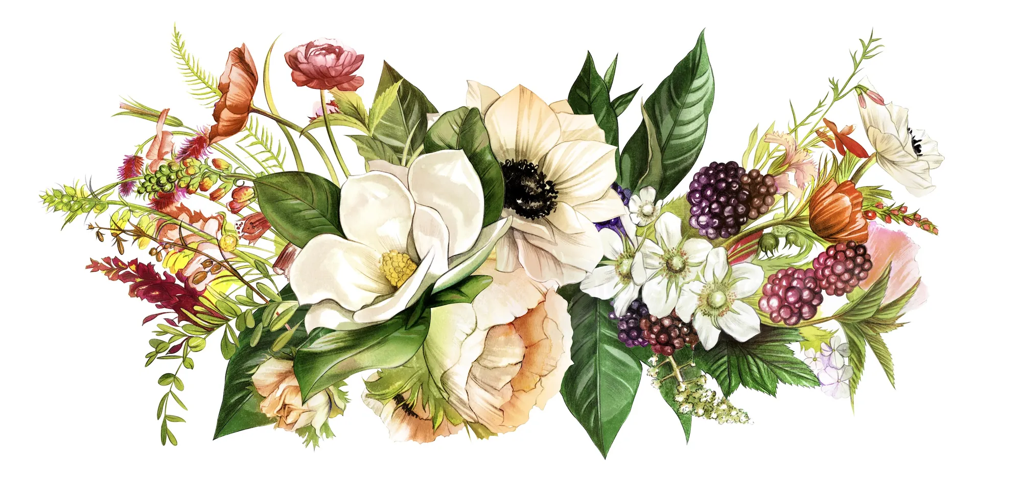 Botanical illustration of white flowers, berries, and butterfly by Natalia Sanabria