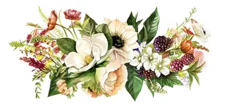Botanical illustration of white flowers, berries, and butterfly by Natalia Sanabria
