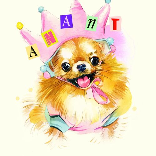 Happy Pomeranian dog wearing colorful crown illustration by Natalia Sanabria