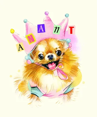 Happy Pomeranian dog wearing colorful crown illustration by Natalia Sanabria