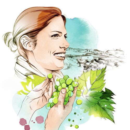 Woman holding green grapes near vineyard landscape