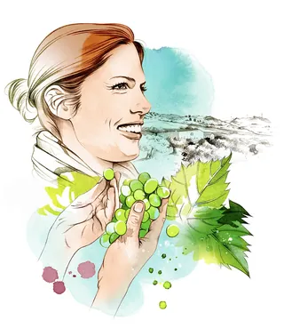 Woman holding green grapes near vineyard landscape