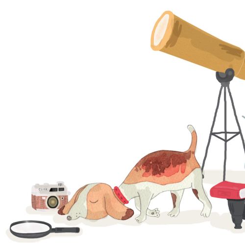 Dog and Telescope drawing