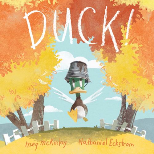 Book Cover for the picture book - DUCK for Walker Books