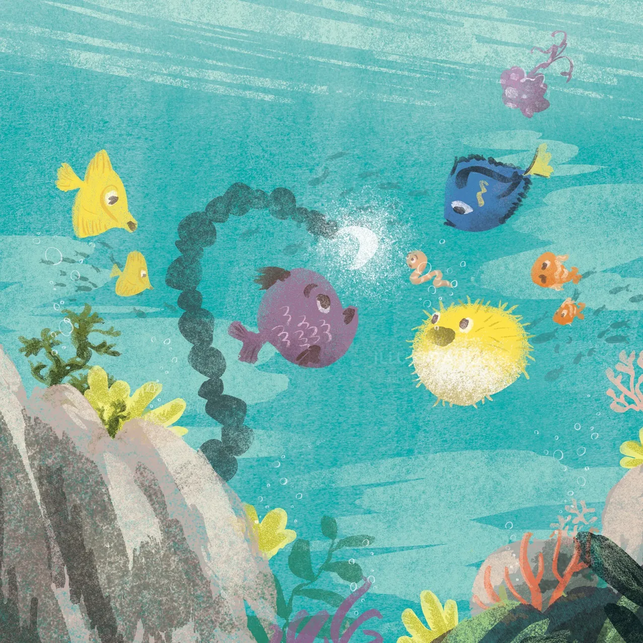 Colorful tropical fish swimming around coral reef by Nathaniel Eckstrom
