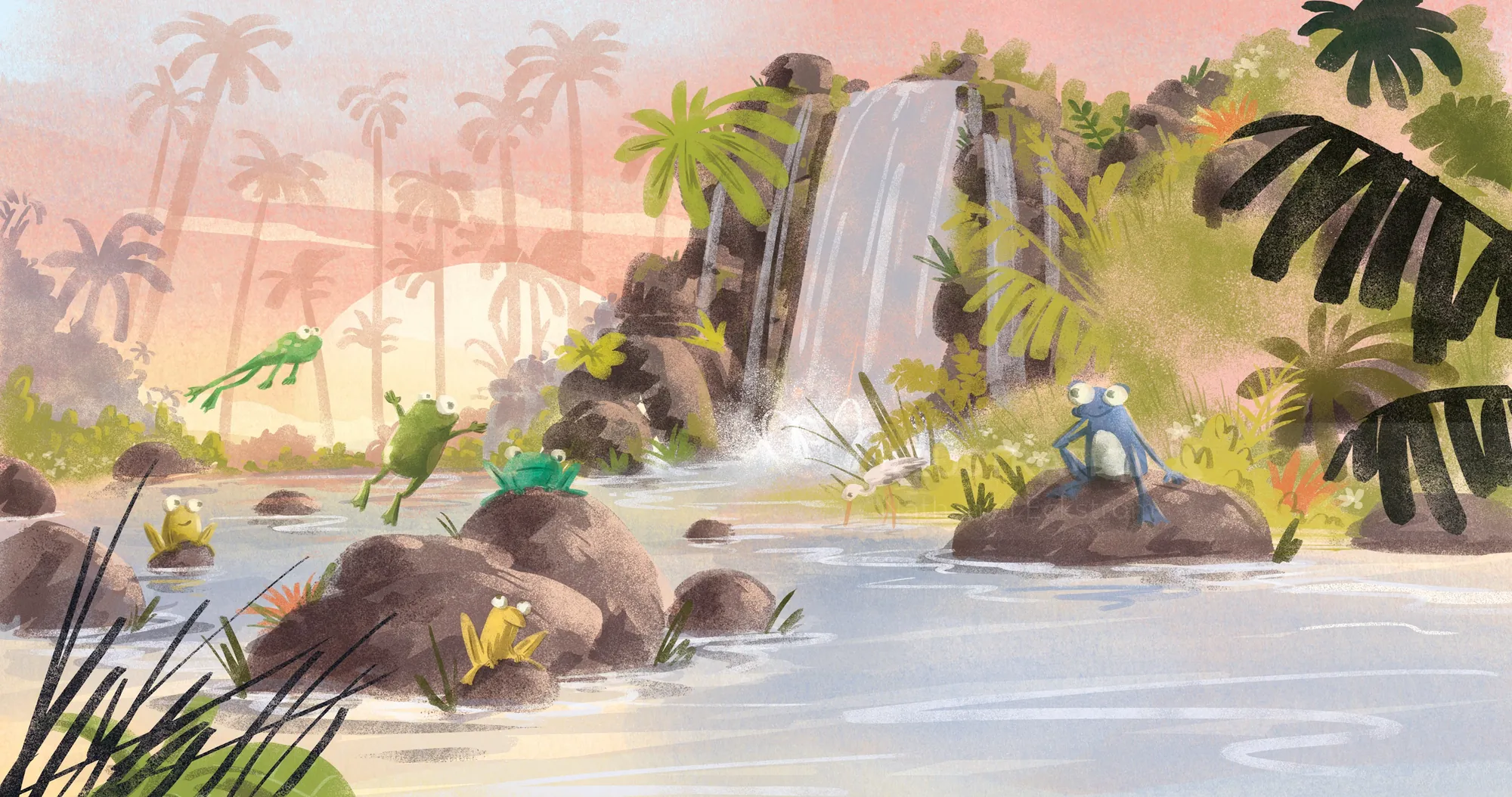 Waterfall in Daintree forest with frogs on rocks and vegetation by Nathaniel Eckstrom