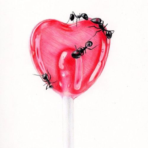 Heart shaped lollypop with ants