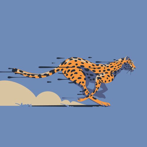 Cheetah running full speed graphic design 