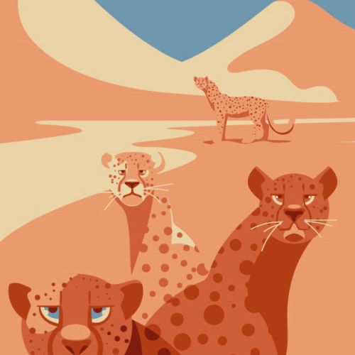 Cheetahs graphic illustration 