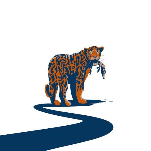 美洲虎的野生动物插图