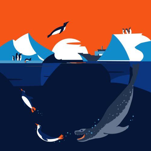 Antarctica graphic illustration