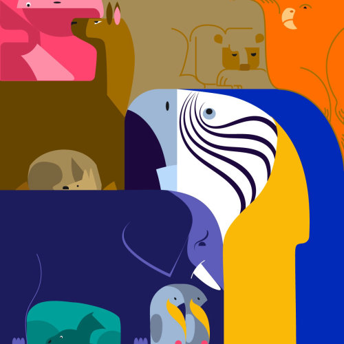 Ilustração pop do Zoo de Nikolai Senin