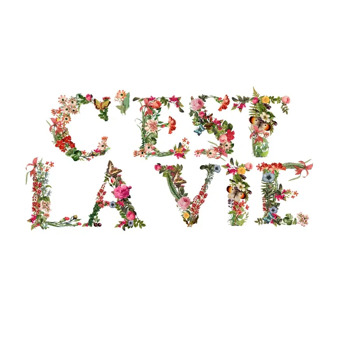 Beautiful Lettering art of C'est la vie 