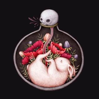 illustration of rabbit baby in her mother's womb