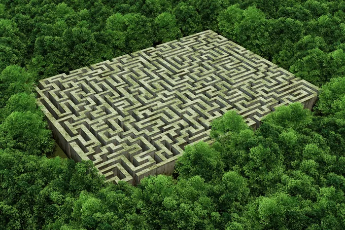 A large hedge maze in a dense forest by Oliver Hasselluhn