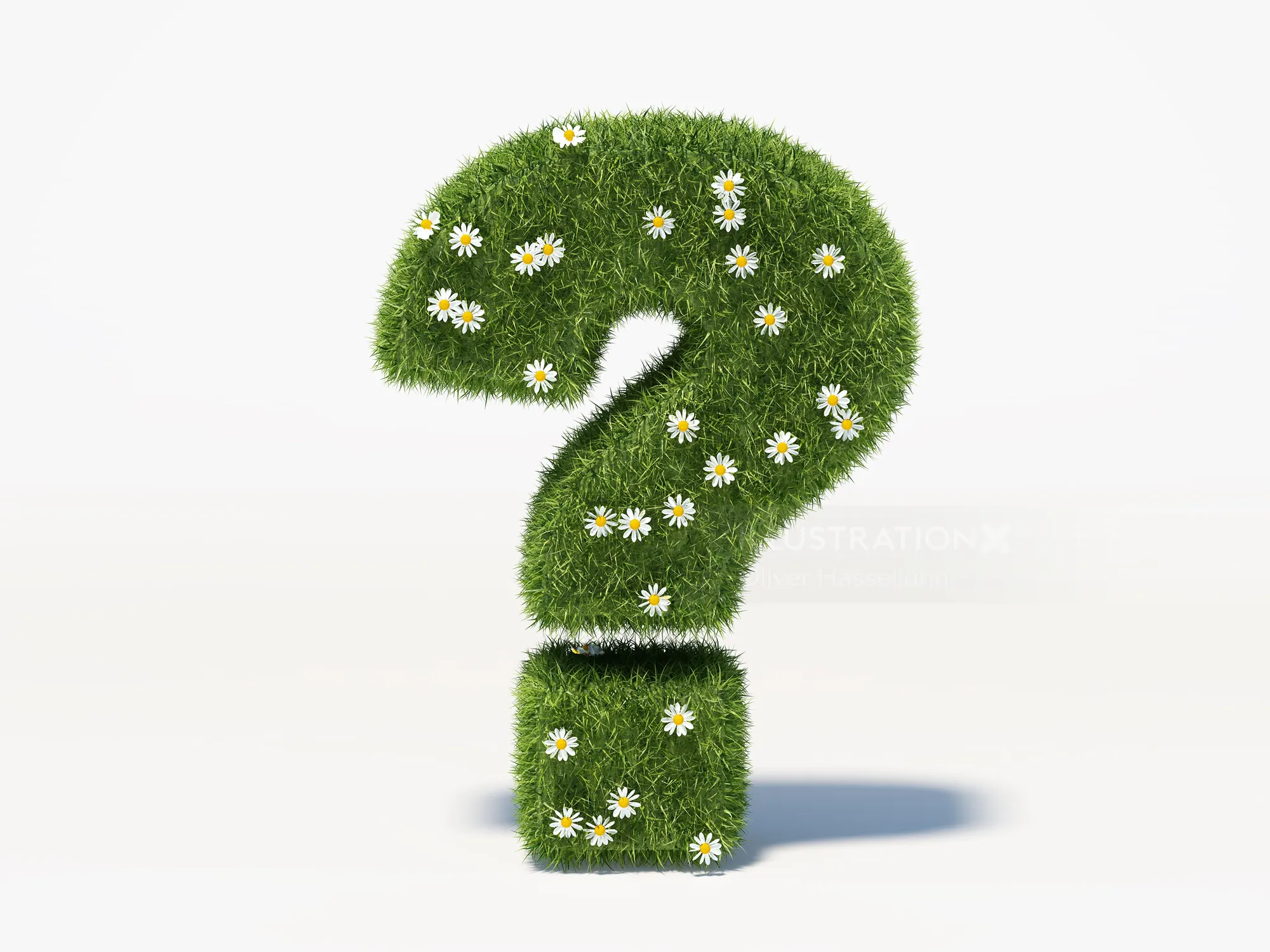 Question mark made of grass with daisies on white background