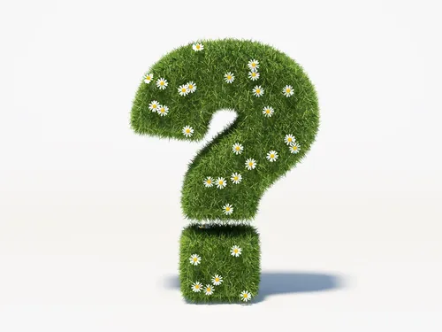 Question mark made of grass with daisies on white background