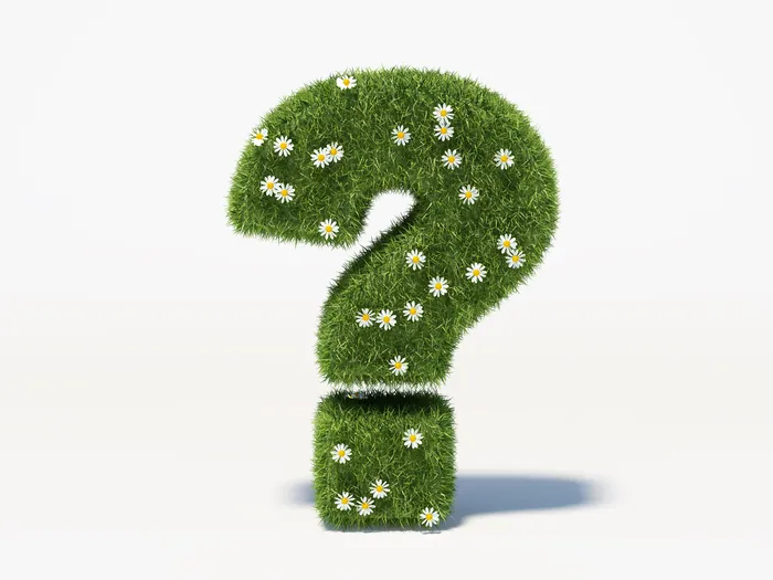 Question mark made of grass with daisies on white background