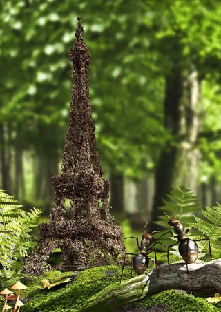 3d / CGI ant house