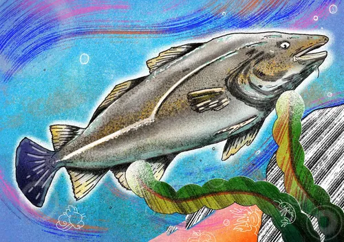 Illustration of a cod fish swimming underwater by Oliver Li