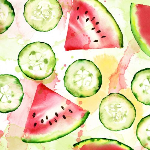 Watermelon and cucumber slices | Fruits illustration