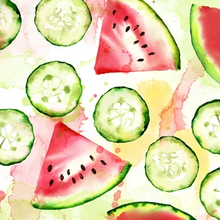 Watermelon and cucumber slices | Fruits illustration