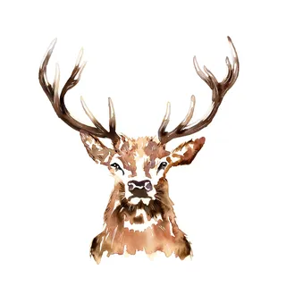 watercolour graphic stag
