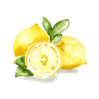 Pintura acuarela de limón Meyer