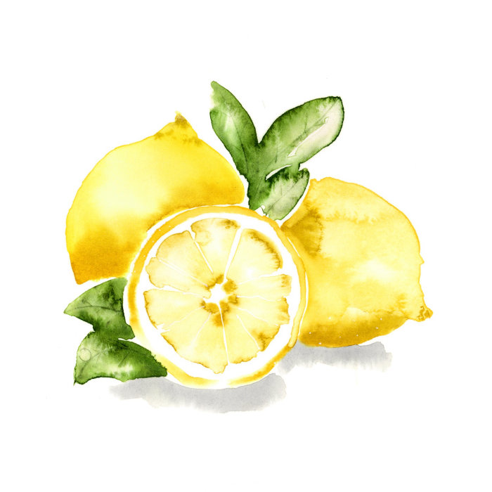 Aquarelle de citron Meyer