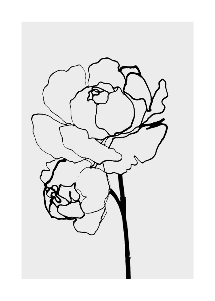 Illustration rose noir et blanc