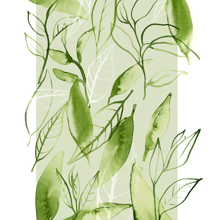 Art aquarelle de feuilles de thé vert
