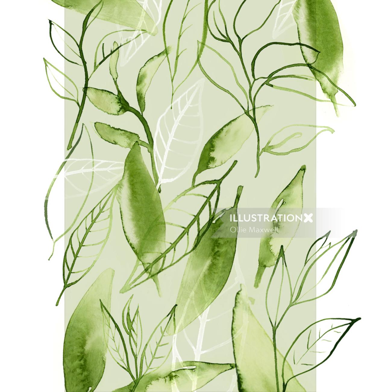 Watercolour art of green tea leaves