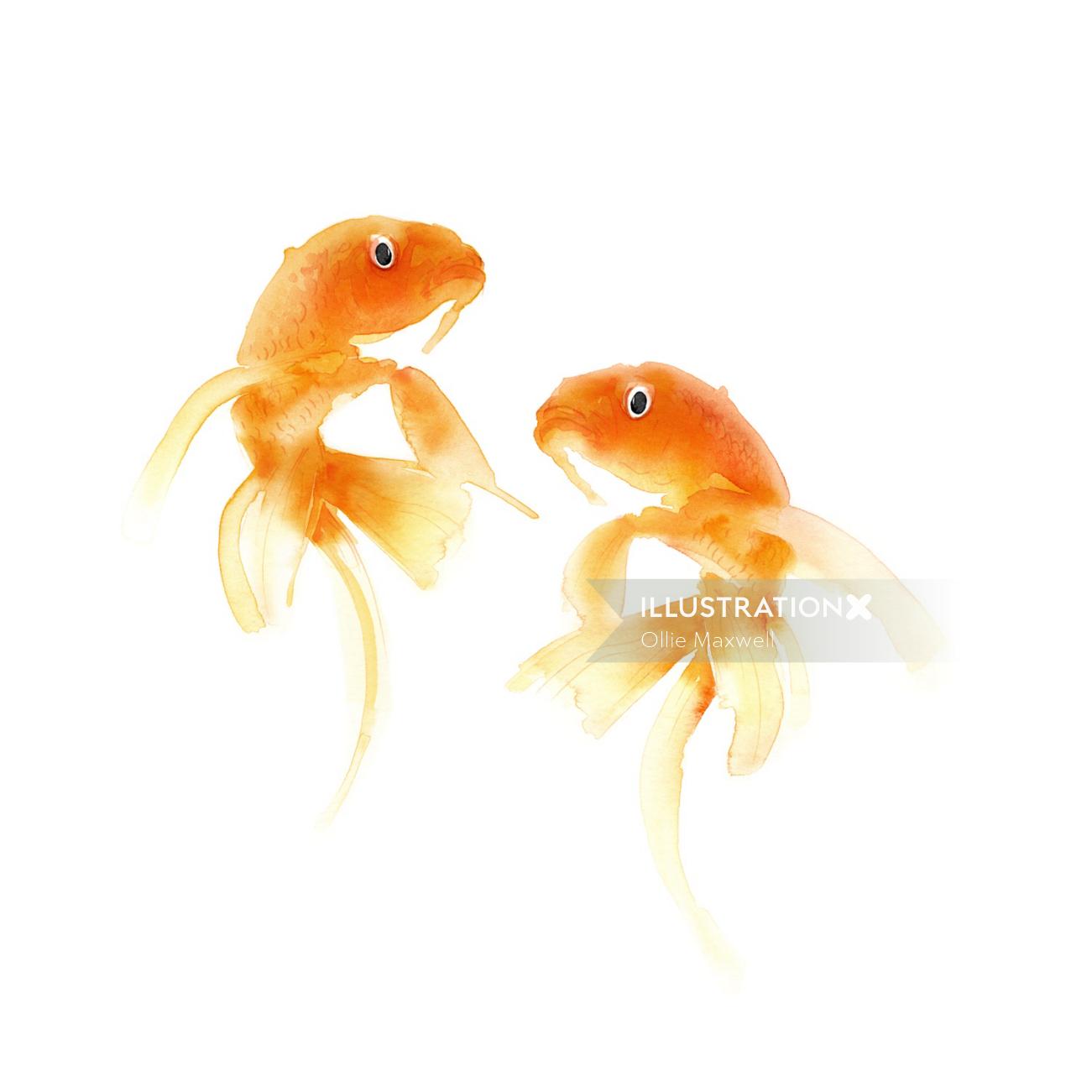 金魚の水彩画