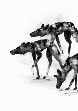Desenho em preto e branco de lobos por Paperface