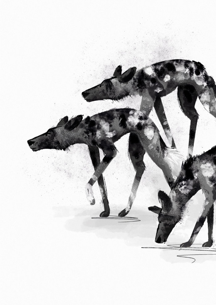 Black and white drawing of wolfs by Paperface