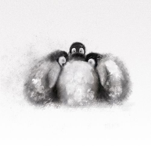 Baby penguins huddling together in the snow