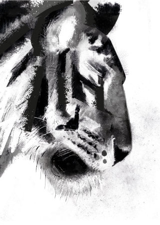 Black and white portrait of tiger 