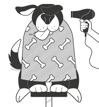 Illustration of dog in bone-patterned coat being blow-dried by hand, Paperface