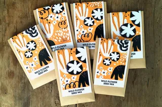 Wild seed packaging for Ollie's Honey Company