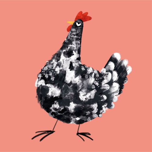 动物斑驳的D&#39;Uccle鸡