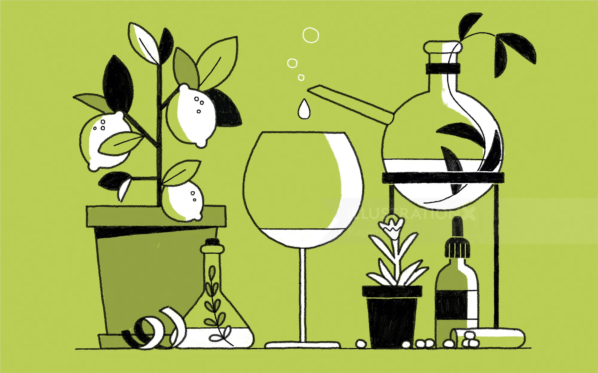 Minimalist botanical still life with plants and glassware by Paperface